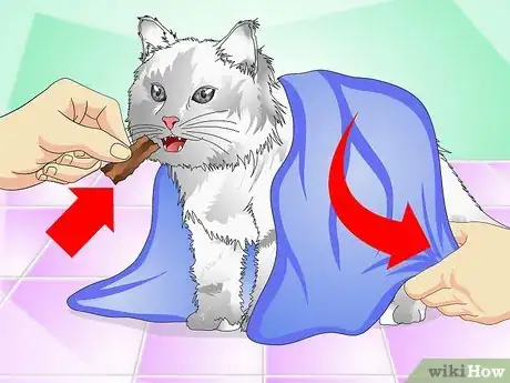 Image intitulée Give Cats Liquid Medicine Step 11