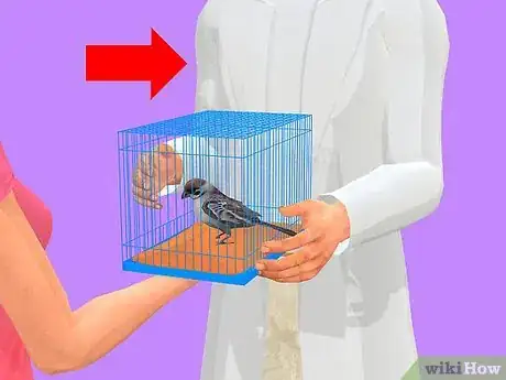 Image intitulée Care for a Sick Pet Bird at Home Step 9