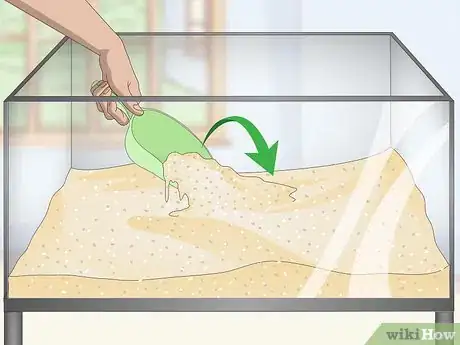 Image intitulée Set up a Tropical Freshwater Aquarium Step 5