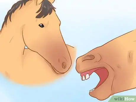 Image intitulée Understand Horse Communication Step 3
