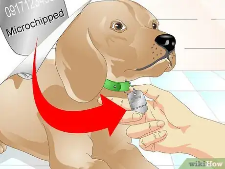 Image intitulée Tell if a Dog Is Microchipped Step 1