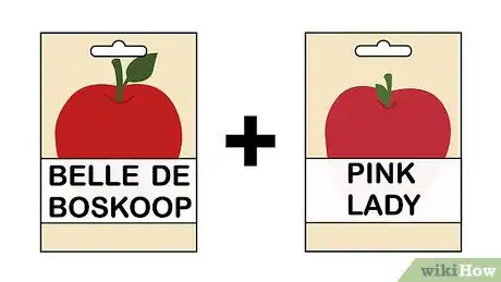 Image intitulée Grow an Apple Tree from a Seed Step 1