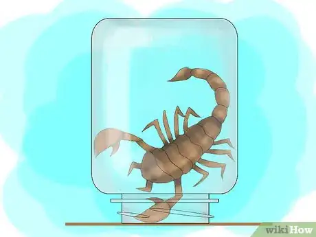 Image intitulée Treat a Scorpion Sting Step 16