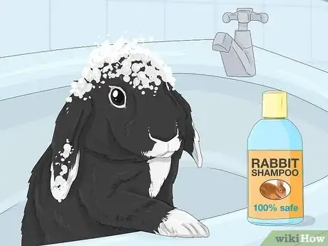Image intitulée Treat Diarrhea in Rabbits Step 13