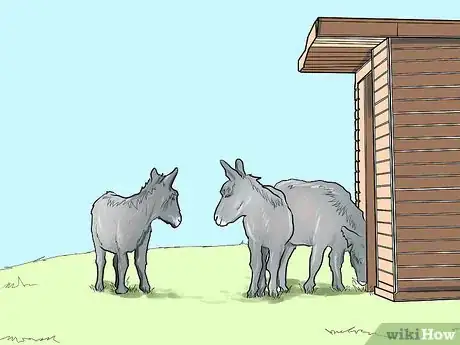 Image intitulée Care for a Donkey Step 1