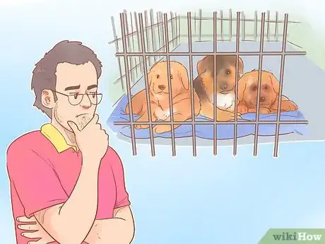 Image intitulée Choose a German Shepherd Puppy Step 16