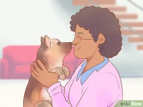 Image intitulée Choose a German Shepherd Puppy Step 10