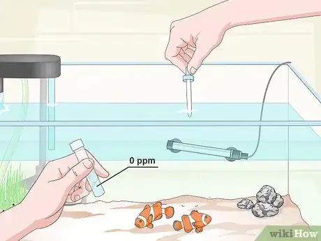 Image intitulée Cycle a Saltwater Tank Step 10