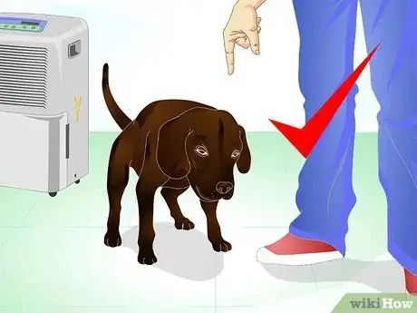 Image intitulée Stop Dog Marking Behaviors Step 3