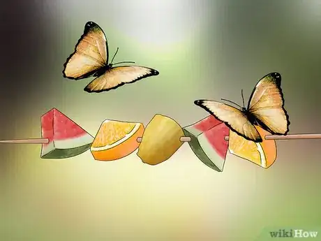 Image intitulée Feed Butterflies Step 15
