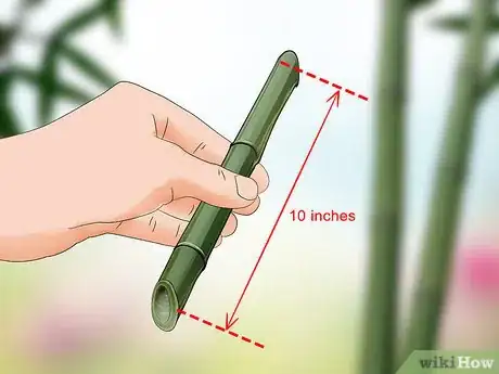 Image intitulée Propagate Bamboo Step 10