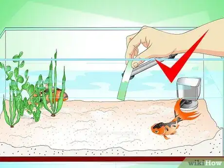 Image intitulée Save a Dying Goldfish Step 2