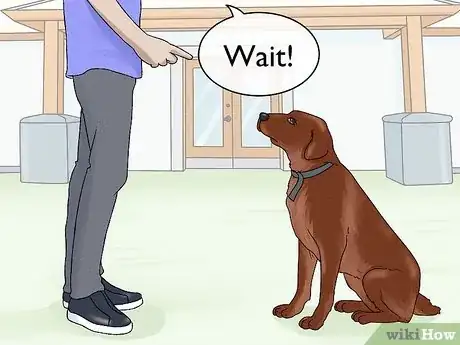 Image intitulée Train Labrador Retrievers Step 12