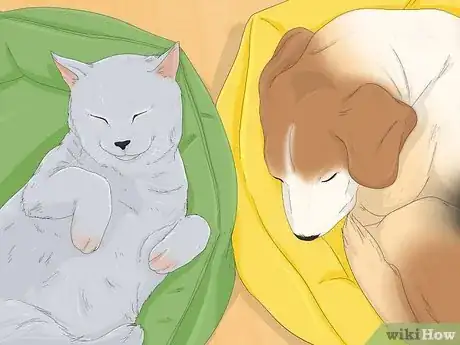 Image intitulée Make Your Dog Stop Sleeping in Your Bed Step 14