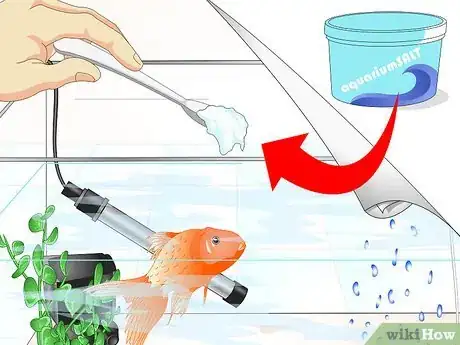 Image intitulée Cure Goldfish Ich Step 6