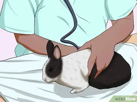 Image intitulée Treat Ear Mites in Rabbits Step 9