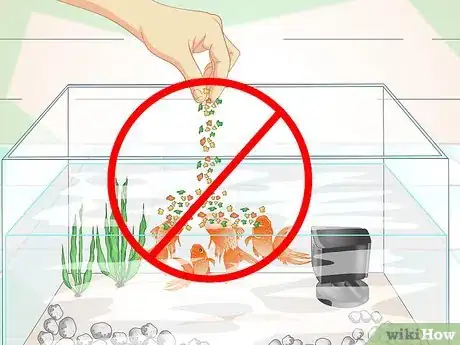 Image intitulée Keep Aquarium Water Clear Step 12