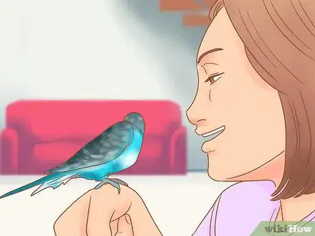 Image intitulée Take Care of a Parakeet Step 23