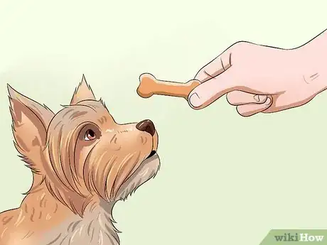 Image intitulée Teach Your Dog to Speak Step 13