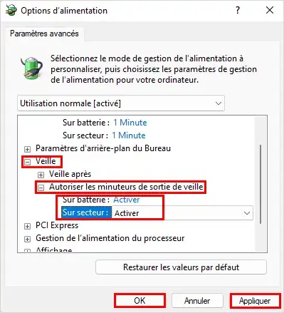 Image intitulée Windows11_Paramètres_avancés.png