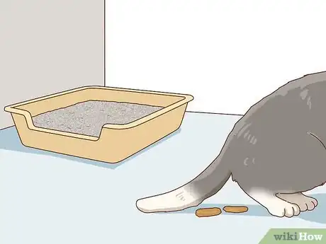 Image intitulée Tell if Your Cat Is Depressed Step 9