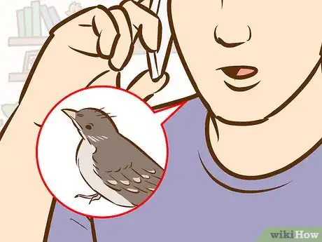 Image intitulée Help a Baby Bird That Has Fallen Out of a Nest Step 13