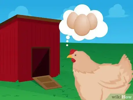 Image intitulée Raise Baby Chickens Step 16