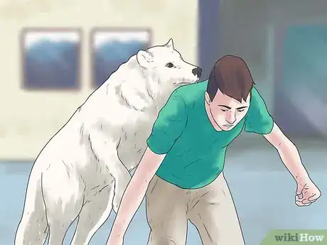 Image intitulée Own a Pet Wolf Step 7