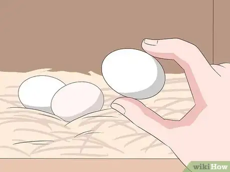 Image intitulée Clean Eggs Step 8