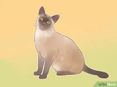 Image intitulée Identify Cats Step 8