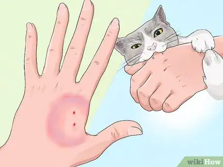 Image intitulée Know if a Pet Bite Is Serious Step 8