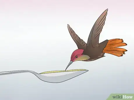 Image intitulée Make Hummingbird Food Step 1