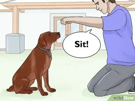 Image intitulée Train Labrador Retrievers Step 14