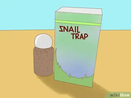 Image intitulée Get Rid of Snails in Aquarium Step 3