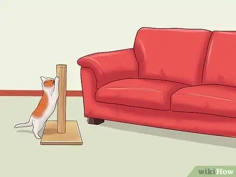 Image intitulée Stop a Cat from Clawing Furniture Step 4