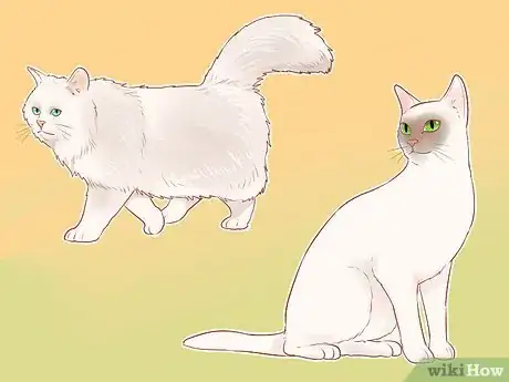 Image intitulée Identify Cats Step 3