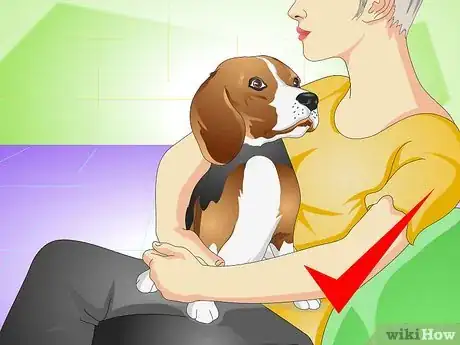 Image intitulée Cure a Dog's Stomach Ache Step 5