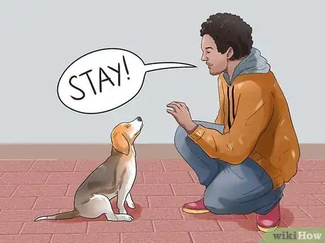 Image intitulée Take Care of a Beagle Puppy Step 20