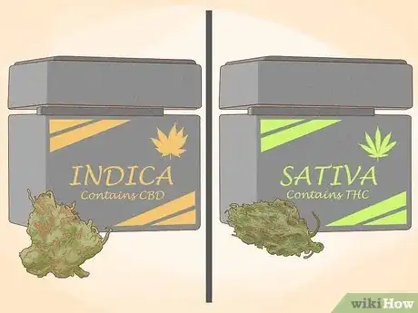 Image intitulée Tell the Difference Between Indica and Sativa Step 7