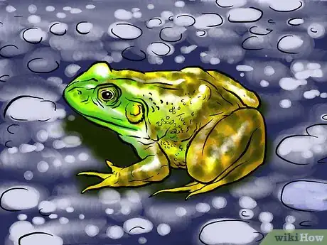 Image intitulée Get Rid of Frogs Step 1Bullet1