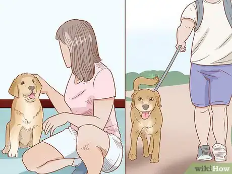 Image intitulée Train Your Service Dog Without a Professional Trainer Step 10
