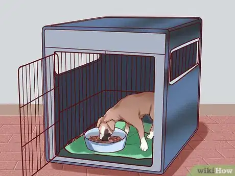 Image intitulée Train a Boxer Puppy Step 10