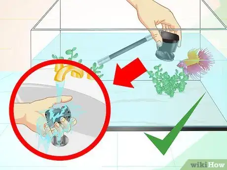 Image intitulée Care for a Betta Fish in a Vase Step 16