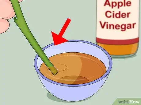 Image intitulée Make Homemade Hormone Rooting Powder or Tonic Step 9