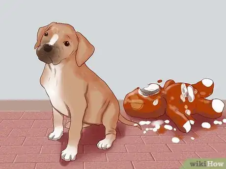 Image intitulée Train a Boxer Puppy Step 18