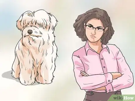 Image intitulée Potty Train a Shih Tzu Step 12