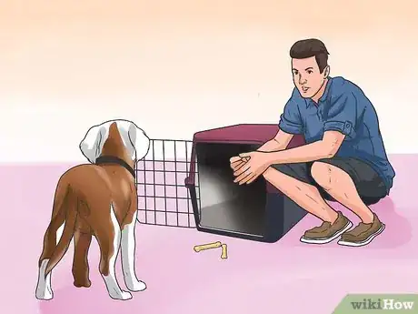 Image intitulée Train or Help a Puppy Stop Crying when Locked up or Outside Step 9