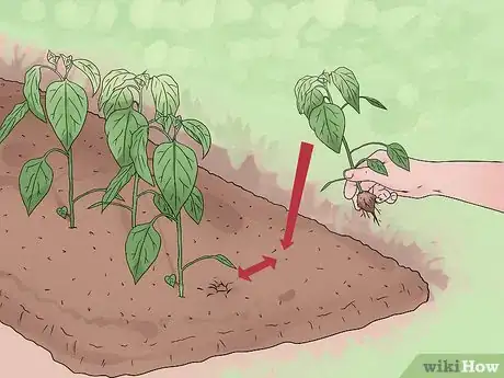 Image intitulée Take Care of Plants Step 13