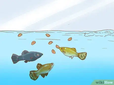 Image intitulée Know How Many Fish You Can Place in a Fish Tank Step 10