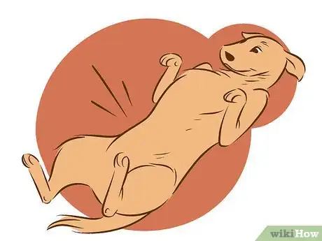 Image intitulée Stop a Dog from Humping Step 1